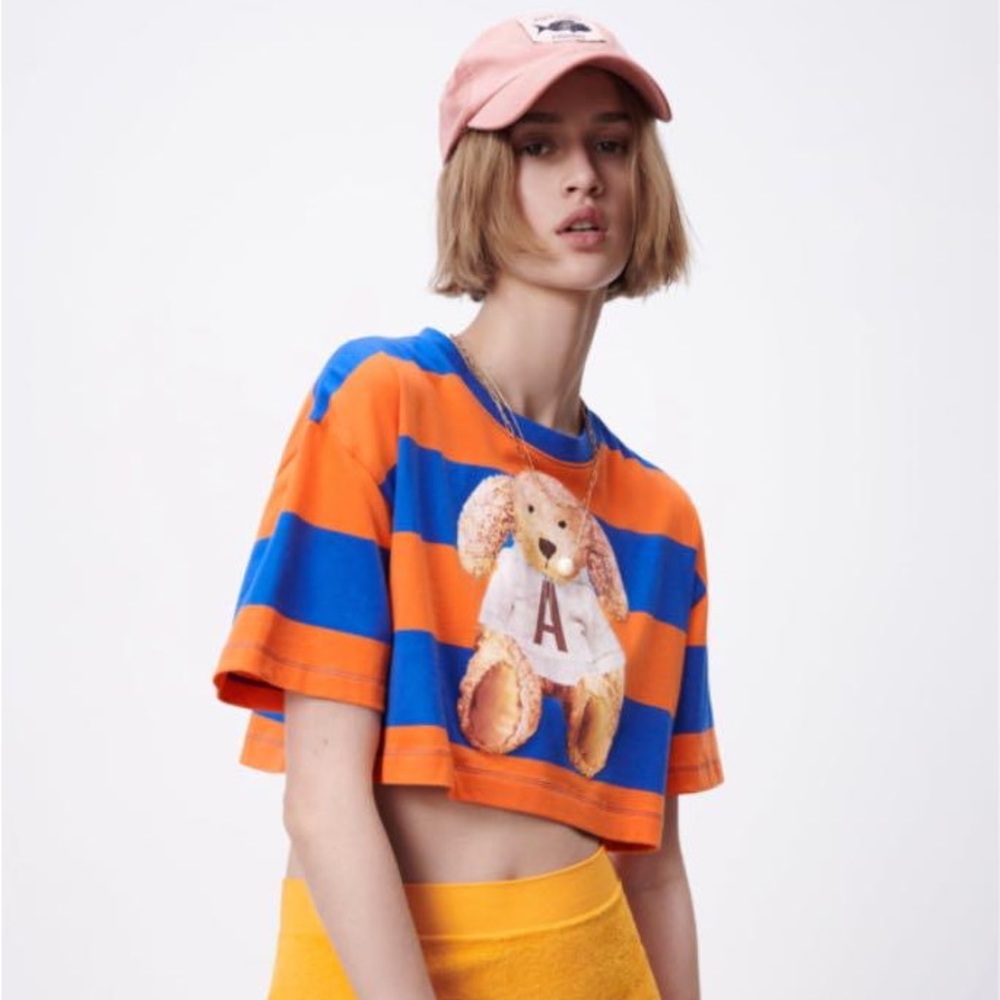 New Zara Crop Stripped Top L